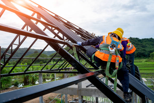 Best Shingle Roofing Installation  in Leland, MS