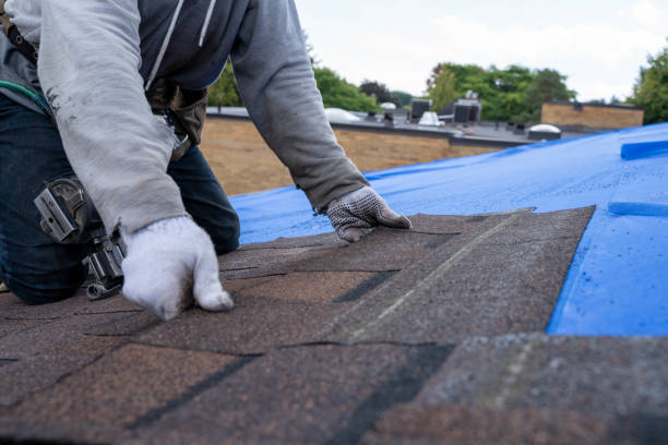 Best Tile Roofing Contractor  in Leland, MS