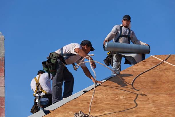 Best Roof Waterproofing Services  in Leland, MS
