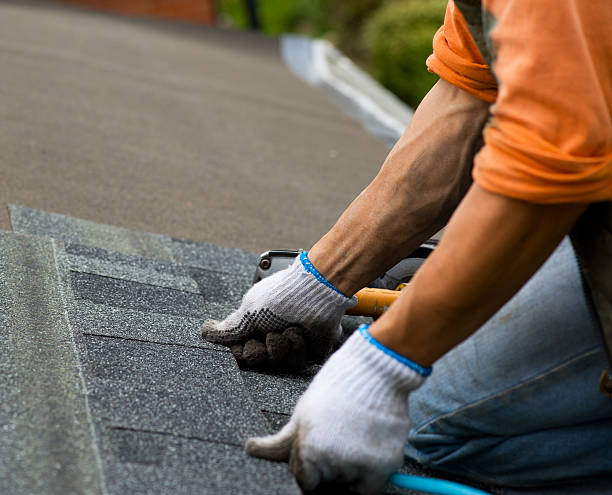 Best Roof Restoration Services  in Leland, MS